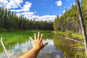 Hand reaching out to the turquoise water of herbert lake, surrounded by a lush forest, under a