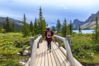 Female tourist with backpack walking on a wooden bridge at bow lake surrounded by lush vegetation