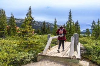 Female tourist with backpack walking on a wooden bridge and enjoying the landscape of bow lake and
