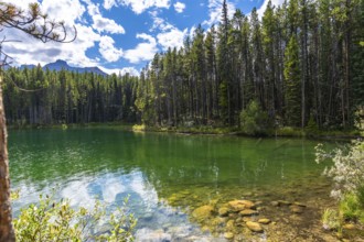 Emerald green waters of herbert lake reflecting the sky and surrounding forest on a beautiful
