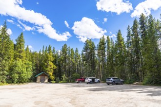 Herbert lake parking lot nestled in lush pine forest under a vibrant blue sky with fluffy clouds,