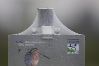 A sign of the Dümmer nature park Reserve with a spider web and a picture of a snipe in foggy