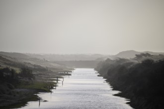 A calm branch of water in a foggy monochrome dune landscape at dusk, Amsterdamse