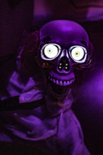 A scary skeleton with glowing eyes in purple lighting in an escape room, Lower Saxony, Germany