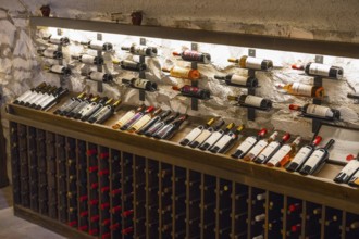 Detailed view of a wine cellar with illuminated wine racks along the rough stone wall,