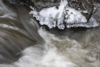 Natural ice sculptures on a stream, Emsland, Lower Saxony, Germany