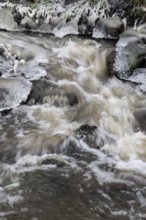 Natural ice sculptures on a stream, Emsland, Lower Saxony, Germany