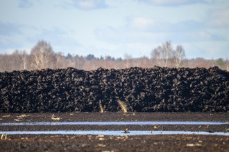 Layered peat sods Peating of a high-moor black peat in cloudy skies with earthy colors and natural