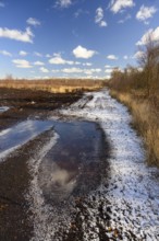 Mariendrebber, Drebber, NiedersacabgePeaty Hoochmoor Schwarztorf in cloudy skies with earthy colors