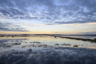 Wide water landscape with cloudy sky at sunset Moist meadows in Ochsenmoor during high tide, Dümmer