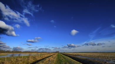 Clear wide field under a blue sky with scattered clouds and a path, Mariendrebber, Drebber, Lower