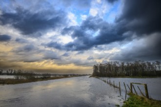 Edge channel of Lake Dümmer Wiesen in the western Dümmer lowlands during floods with dramatic wind
