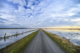 Straight road between mirrored water under a cloudy sky, a narrow path leads through a wide,