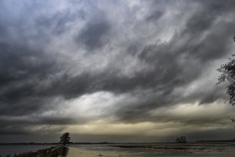 Dark, threatening clouds over a quiet, flat landscape with a lonely tree on the edge channel of
