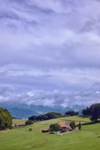 Landscape photography, hilly landscape, hills, coniferous forest, meadow, trees, homestead, haze,