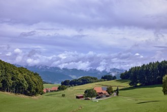 Landscape photography, hilly landscape, hills, coniferous forest, meadow, trees, homestead, haze,
