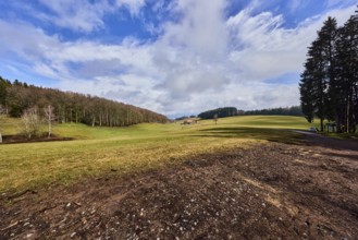 Hilly landscape, hills, coniferous forest, meadow, trees, cloud shadows, blue sky, cumulus clouds,
