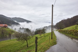 Hilly landscape, fence, overhead line, wooden overhead pole, meadow, coniferous forest, wet road,
