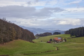 Landscape photography, mountain landscape, hills, coniferous forest, meadow, homestead, haze,