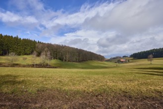 Landscape photography, hilly landscape, hills, meadow, coniferous forest, trees, cloud shadows,