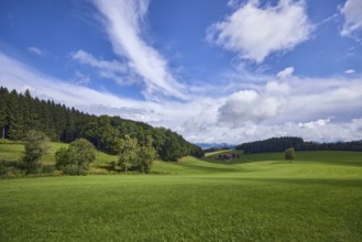 Landscape, landscape photography, hills, coniferous forest, meadow, blue sky, cumulus clouds,