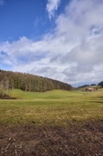 Landscape photography, hilly landscape, hills, meadow, coniferous forest, trees, cloud shadows,