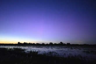 Tranquil landscape at dusk with blue-purple sky over pond meadows on Ochsenmoor, silhouettes of