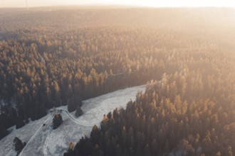 Forest panorama in warm sunset light with mountains in the background, Enzklösterle, Calw district,