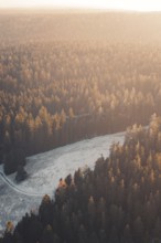 Extensive forest in the golden light of sunset that radiates peace and quiet, Enzklösterle, Calw