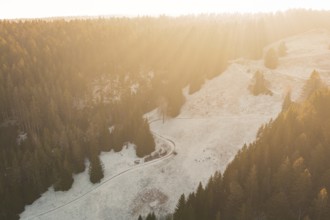Dense forests and rolling hills in winter silence, interspersed with sunlight, Enzklösterle, Calw