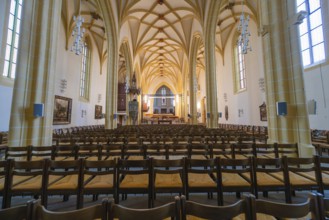 Extensive church space with Gothic vaults, wooden chairs and an altar in the center, collegiate