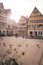 Historic old town with half-timbered houses and warm rays of sunshine on a quiet square,