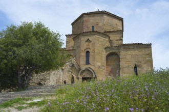 Stone church with decorated details surrounded by flowering plants and a large tree under a blue