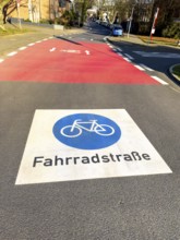 Large marking on road painted symbol for road signs 244.1-40 Start end of a bicycle road, behind it