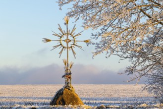 Field cross with corn, frost, hoarfrost, winter, Leibertingen, Upper Danube nature park Park,