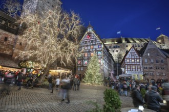 Illuminated trees with the historic Pilate House with advent calendar, in the evening lighting, the