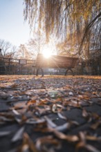 Park bench at sunset surrounded by autumn leaves, Stadtgarten Pforzheim, Germany