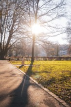 Autumn park with trees and sunlight shining through the branches, Stadtgarten Pforzheim, Germany