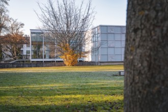 Modern building behind a tree in an autumn park at morning sun, Reuchlinhaus, Stadtgarten