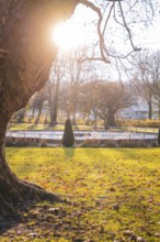 Sunlight falls through the branches of a tree onto a green park area in autumn, Stadtgarten