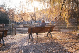 Woman sitting on a park bench in autumn surrounded by golden foliage at sunset, Stadtgarten