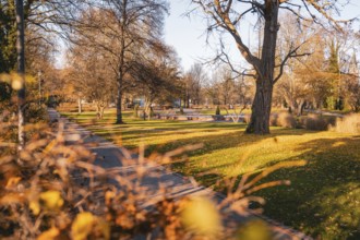 Park landscape in autumn with trees and leaves along a path, Stadtgarten Pforzheim, Germany