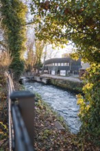 River course with neighboring bridge surrounded by trees and autumn atmosphere, Stadtgarten