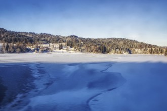 Frozen lake surrounded by snowy forest under clear blue sky, Norway