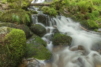 Water in a stream flows across moss-covered rocks. The scene is set in the forest in spring, with
