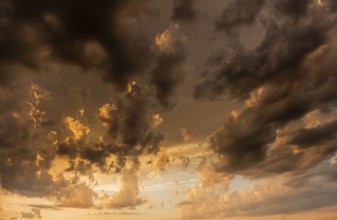A brilliant sunset casts warm colors across a cheerful meadow. Dark clouds dominate the sky, while