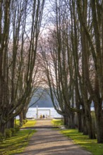 Winter at Lake Baldeney in Essen, Strandbad boat stop, closed in winter, tree-lined avenue leading