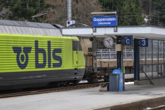 Bahnhof Autoverlad Lötschberg bls Eisenbahn, Goppenstein, Valais, Switzerland