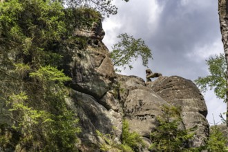 Mühlsteinbrüche hiking area near Jonsdorf in the Zittau Mountains, Upper Lusatia, Saxony, Germany