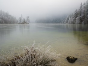 View across Königssee to Christlieger Island and frozen trees in fog, Schönau am Königssee,